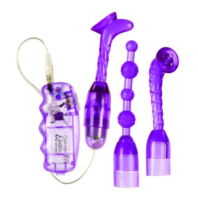 California Exotic 4 Play Kit