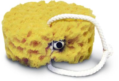 Sex In The Shower Vibrating Foam Sea Sponge