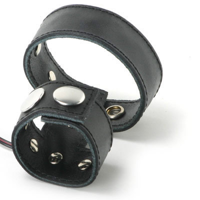 Zeus Electrosex Cock and Ball Strap