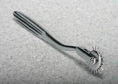Wartenburg Wheel With Sheath