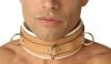 Strict Leather Padded Hospital Style Restraint Collar