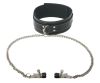 Strict Leather Collar with Nipple Clamps