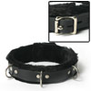 Strict Leather Narrow Fur Lined Locking Collar
