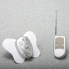 Remote Control Electrosex Unit with Butterfly