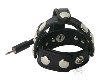 Zeus Electrosex Leather Cock and Ball Harness