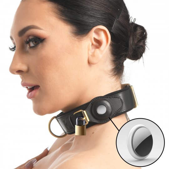 Tracer Tracking Collar: Sex Toy Distributing