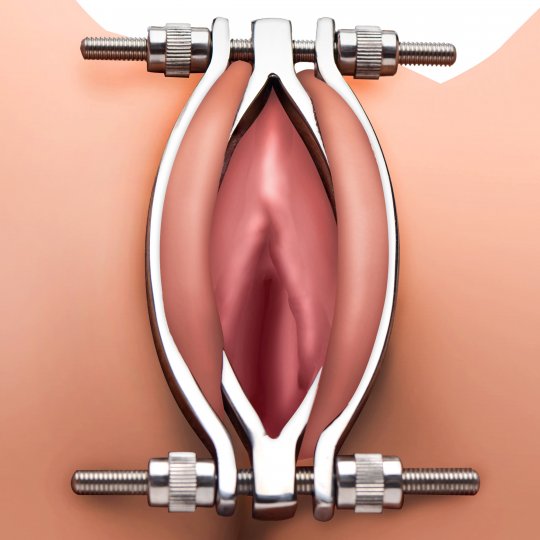 Stainless Steel Adjustable Pussy Clamp: Sex Toy Distributing