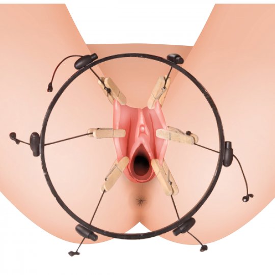 The Pussy Spreader Female Bondage Device Labia BDSM Submissive Sex Toy  Women | eBay