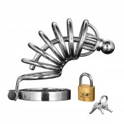 Asylum 6 Ring Locking Chastity Cage