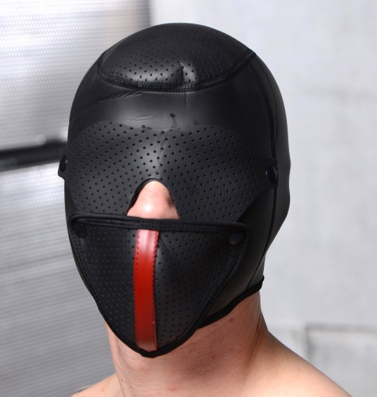 Scorpion Hood With Removable Blindfold and Face Mask: Sex Toy Distributing