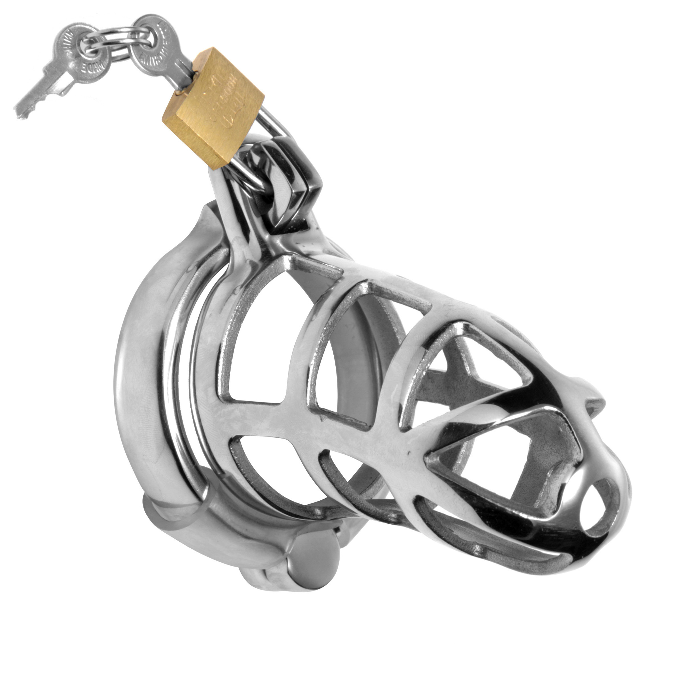 Detained zinc alloy chastity cage shown on its own - BDSM Authority